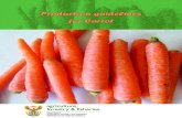 PProduction guidelines roduction guidelines ffor …Carrot is believed to have originated in Afghanistan which remains the centre of diversity of D. carota. They were known to the