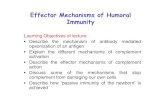 Effector Mechanisms of Humoral Immunity - bums.ac.ir dars... · Evasion of humoral immunity by microbes • Many viruses and bacteria mutate their antigen surface molecules such that
