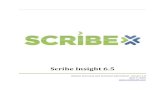 Scribe Insight 6 - PRWebww1.prweb.com › ... › ScribeInsight6.5ReleaseOverview.pdf · Scribe Insight is Scribe’s data migration and integration solution used for one time data