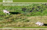 Evaluating Trapping Techniques to Reduce Potential for Injury to Mexican … · 2018-05-11 · Evaluating Trapping Techniques to Reduce Potential for Injury to Mexican Wolves By Trey