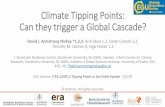 Climate Tipping Points: Can they trigger a Global Cascade? · Past Tipping Point Characterisations • Over the past ~15 years climate tipping points (TiPs) have emerged as an important