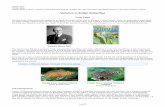 Variation in British Butterflies - Dispar › pdf › 17.pdf · Lulworth Skipper Marbled White Marsh Fritillary Monarch Mountain Ringlet Pearl-bordered Fritillary Queen of Spain Fritillary