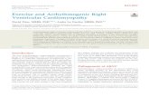 Exercise and Arrhythmogenic Right Ventricular Cardiomyopathy › SADS › media › Literature-Review › Exercise-an… · Arrhythmogenic right ventricular cardiomyopathy (ARVC)