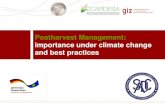 Postharvest Management: importance under climate change and … · 2018-10-15 · Postharvest Management: importance under climate change and best practices. Page 2 ... global population