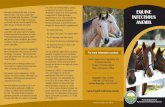 EQUINE INFECTIOUS ANEMIA · EQUINE INFECTIOUS ANEMIA Florida Department of Agriculture and Consumer Services The owner of a boarding stable or pasture, the sponsor of an event, or