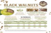 Black WalnutS€¦ · States. The world’s premier supplier of Black Walnuts is Hammons Products Company in Stockton, Mo., owned by the Hammons family since its founding in 1946.