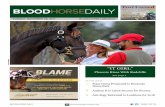 TUESDAY, NOVEMBER 28, 2017 BLOODHORSE.COM/DAILYcdn.bloodhorse.com/daily-app/pdfs/BloodHorseDaily-20171128.pdf · 11/28/2017  · "If you want to compete with the best, you've got