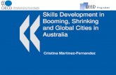 Skills Development in Booming, Shrinking and Global Cities ... › cfe › leed › 41889848.pdf · Jakarta 3rd December 2008 4 Skills challenges •More jobs for tertiary-level qualifications