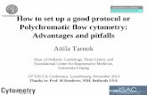 Polychromatic flow cytometry: Advantages and pitfalls · 2015-03-25 · How to set up a good protocol or Polychromatic flow cytometry: Advantages and pitfalls Attila Tarnok Dept.