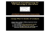 Classical Conditioning IV: TD learning in the brainyael/PSY338/5 Classical Conditioning IV online.pdfClassical conditioning can be viewed as prediction learning • The problem: prediction