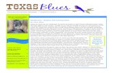 Nestboxes Expect The Unexpected - txblues.orgPage 4 Texas Blues The Carolina Chickadee is a fre- quent guest in a bluebird nestbox. Only 4¾" long, with a 7¾" wingspan, it is gray
