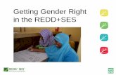 Getting Gender Right in the REDD+SESwedo.org/wp-content/uploads/Gender-and-REDD+SES-Webinar.pdf · 2. Equitable benefit sharing 3. Benefits for Indigenous Peoples and local communities