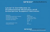Level 5 Certificate in Professional Business and ...sfediawards.co.uk/media/Level-5-Certificate-in...Level 5 Certificate i Professional Business and Enterprise Support Services Regulator