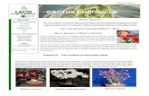 CACTUS CHRONICLE › newsletters › LACSSMarch_2013.pdf · the winter (such as African and Madagascar succulents) have sloughed their root tips and are dormant. An influx of water