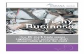 Informe tiburones 3 ING · 2 In 2006 and 2007, Oceana researchers carried out a year-long in-vestigation into European Union shark fisheries and trade of shark products (meat and