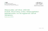 Results of the 2018 FSA Survey into Slaughter Methods in ... · Slaughter methods in England and Wales 2018 This report is based on a survey the Food Standards Agency (FSA) carried