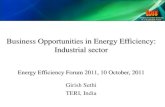 Business Opportunities in Energy Efficiency: Industrial sectorcbs.teriin.org/images/pdf/docs/GIRISH_SETHI.pdf · Business Opportunities in Energy Efficiency: Industrial sector Energy