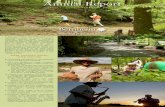 Annual Report - Bernheim Arboretum and Research Forest · 2017-06-06 · Annual Report MARCH 1, 2015 – FEBRUARY 29, 2016 In fiscal year 2015 - 2016 Bernheim moved significantly