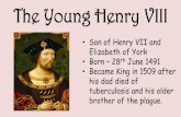 The Young Henry VIII · 2020-06-26 · Source - The Field of the Cloth of Gold was one of the most spectacular events of Henry VIII’s reign. When he was at the height of his power