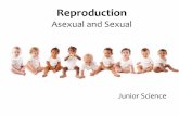 Reproduction - Weebly › uploads › 2 › 4 › 0 › 6 › ... · Types of Sexual Reproduction • Internal fertilization is the fertilization of the egg by the sperm within the