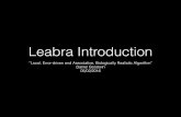 Leabra Introduction - Massachusetts Institute of Technology · • Principle 19 (Interact and override): As newer brain areas evolved on top of older ones, they generally have strong