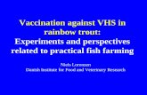 Vaccination against VHS in rainbow trout: Experiments and perspectives related … · 2019-09-20 · rainbow trout: Experiments and perspectives related to practical fish farming