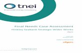 Final Needs Case Assessment · Ofgem has commissioned TNEI Services Ltd (“TNEI”) and its subcontractors Kuungana Advisory, Amec Foster Wheeler, and IDP Landscape (“IDPL”),