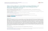 Microhardness and Biocompatibility of Silicon … › pdf › MSA_2014120410232694.pdf2-added borosilicate glass veneer materials and the biocompatibility of Si 3N 4 ceramic and Si