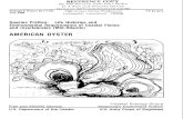 Species Profiles: Life Histories and Environmental Requirements … · 2013-06-18 · and the west coast of North America (Ahmed 1975). In the mid-Atlantic region, the American oyster