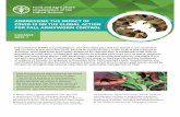 Guidance note: Addressing the impact of COVID-19 on the ... · It feeds and reproduces on suitable host crops such as maize, sorghum, millet and many other plants. FAW devastates