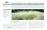 ATTRA Switchgrass as a Bioenergy Crop · Switchgrass is a native warm-season, perennial grass indigenous to the Central and North American tall-grass prairie into Canada. The plant