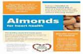 Almonds are rich in healthy fats, known as Eating a handful of … · 2019-03-13 · Almonds are rich in healthy fats, known as monounsatured fats, which help protect the heart. The