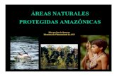 ÁREAS NATURALES PROTEGIDAS AMAZÓNICASoas.org/dsd/Events/english/PA_PANAMA/Documents/Peru.pdf · MANU 1716295.22 CORDILLERA AZUL 1353190.84 BAHUAJA-SONENE 1091416.00 YANACHAGA-CHEMILLEN