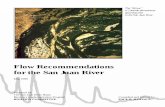 Flow Recommendations for the San Juan River · Resources U.S. Fish and Wildlife Service New Mexico Department of Game and Fish HabiTech, Inc. Bureau of Land Management Representing