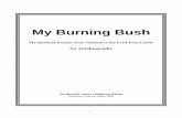My Burning Bush - Welcome to the Nephi Project...My Burning Bush My Spiritual Journey from Judaism to the Lord Jesus Christ An Autobiography Written by Nancy Goldberg Hilton Edited