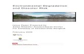Environmental Degradation and Disaster Risk For Print3 · initiatives undertaken for environmental management, poverty alleviation and disaster risk 1 The Swedish Environmental Secretariat