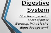 PowerPoint Presentation - The Human Digestive Systemmshawks.weebly.com/.../digestive_system_ppt_teamhagen.pdf · 2018-09-07 · PowerPoint Presentation - The Human Digestive System