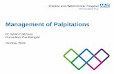 Management of Palpitations · Bradycardia may produce palpitations Rarities – phaeochromocytoma, insulinoma (can be part of MEN syndrome) Investigation Often necessary Gold standard
