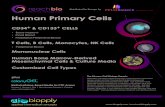 Human Primary Cells · ReachBio offers primary hematopoietic stem and progenitor cells assay using ReachBio’s ColonyGEL™ methylcellulose-based media. The frequency of myeloid