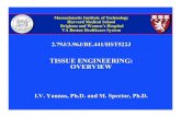 TISSUE ENGINEERING: OVERVIEWdspace.mit.edu/bitstream/handle/1721.1/67471/20... · TISSUE ENGINEERING Problems with Tissue Engineering • Most tissues cannot yet be produced by tissue