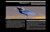 Chapter 5—Environmental Consequences · the environment. We assessed the environmental consequences of carrying out alternatives A, B, and C on the physical, biological, socioeconomic,