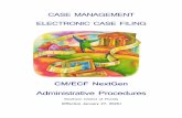 CASE MANAGEMENT ELECTRONIC CASE FILING · Procedure until the filing party receives a Notice of Electronic Filing (see Section 3K ). Documents filed electronically must meet the requirements