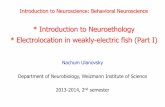 * Introduction to Neuroethology * Electrolocation in weakly-electric ...€¦ · * Electrolocation in weakly-electric fish (Part I) Nachum Ulanovsky Department of Neurobiology, Weizmann