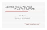 AQUATIC ANIMAL WELFARE IN U.S FISH CULTUREKeep Injured Fish if Legal 5 Use Knotless Nets (Recommended) 4 Stringers Prohibited (Recommended) 3 ... electric fish • Gonzalez-Nunez,