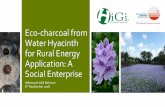 Eco-charcoal from Water Hyacinth for Rural Energy ......Water hyacinth briquette Rubberwood Sentang firewood Sesendok firewood Moisture Content Volatile Content Ash Content Fixed Carbon