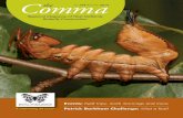 Comma the Autumn - WordPress.com › 2019 › 05 › comma...Ledbury Naturalists Field Club. Michael belonged to the British Entomological & Natural History Society and wrote, with