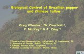 Biological Control of Brazilian pepper and Chinese tallow › aw16 › presentations › ...Biological Control of Brazilian pepper and Chinese tallow. Greg Wheeler . 1, W. Overholt