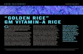 “GOLDEN RICE” GM VITAMIN-A RICE … · olden Rice is the name of a rice that has been genetically modified (GM, or genetically engineered) to produce beta-carotene, which the