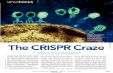 The CRISPR Craze › sites › default › files › relate… · Now, CRISPR systems have stormed onto the scene, promising to even out-compete TALENs. Unlike the CRISPR sys-tem,