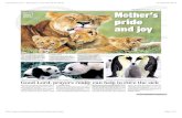 PressDisplay.com - Newspapers From Around the World Bloom - Express p 3.pdf · wildlife photographer Steve Bloom. Other snaps include a cute panda cub nose-to-nose with its mother